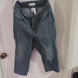 Lane Bryant Gray Denim Pants